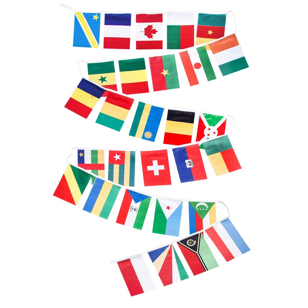 Professional Translation Services